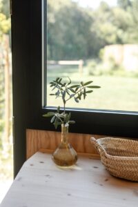 Photo d'une branche d'olivier devant une baie vitrée de tiny house